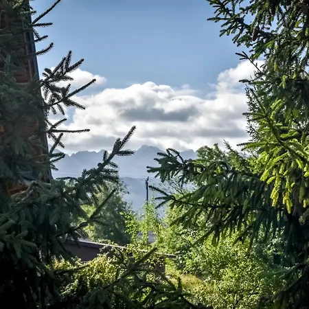 シャレー White House *