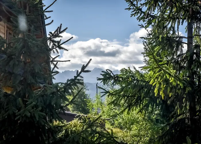 Alpesi faház White House *